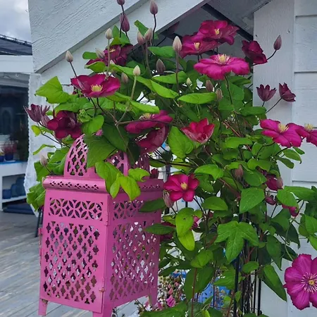 Homestay Casa Peace Mysen